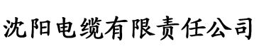 91污视频下载电缆厂logo